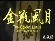 120部香港三级电影片段剪辑很精彩很经典CD-06 金瓶锾月