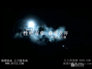 叫的另你痴狂