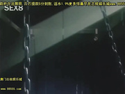 ?奇の?～第2章～第1幕「?すなかれ…」[总20140507]