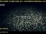 dalmascanknight[总20140605]