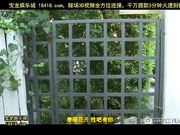 nglandskddidkkdkk黑人的弟弟就是大[宝20140901]_1