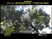 pm-651心血?潮丹?☆道究??白の天使荒川中文字幕[宝20140904]_1