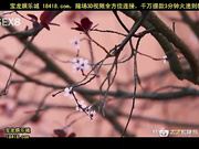 pool goddess[宝b20141015]_1.mp4