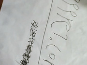 茄子赛进B里