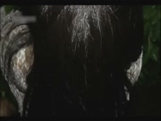 秦先生0712新作-第十二部-野战陌生女神清晰完整版