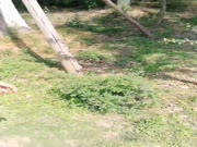 网红刘婷精彩演绎美女独自行山被山贼劫财劫色对白精彩