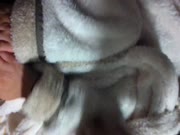 百度云盘泄密流出视图很会玩的一对大学生情侣1080P高清无水印