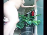 老狼推荐 看起来很女神实际很骚的冷艳大美女刘馨予 在闲鱼平台卖原味丝袜内裤 大尺度裸露挑逗买家视频流出