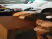 调教朋友的妻子，欠抽的小搔货