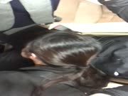 最新【网曝门事件】最新疯传香港中学生饥渴女友巴士车上俯身为男友口交 吃的津津有味 这是下一站上床的节奏啊