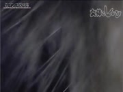 女性身体shinpi n1873 Miharu你的猫探险队"