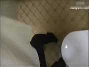 丰满年轻的中国职业OL在公司厕所被领导激情内射随后酒店玩弄
