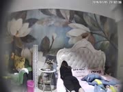 情趣酒店荷葉房拍攝到的身材苗條學生妹與男友開房愛愛 過夜足足幹了好幾次直接累趴下了 720P高清