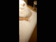 重磅推荐某地170CM极品大长腿模特喝多后被带到酒店准备干时突然醒了嘴里说着不要,鸡巴刚进去爽的淫叫!