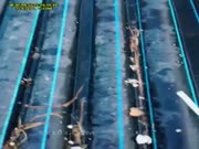 美女培训 淫荡小姐姐和炮友开着车户外发浪调情 回宾馆全裸洗澡口交