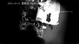 【甄选酒店10月01日极速流出】稀有绿叶房 骗老婆出差约炮黑丝豪乳秘