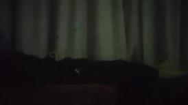 【光头强探花】，专攻足浴按摩，过年不休息的大胸熟女，按摩放松，发红包同意啪啪，69口交怒射一炮