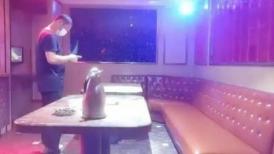 【探花炮哥】，全网商K偷拍独家，选妃一排美女，175cm高挑妹子，灯红酒绿下裸体相见交合