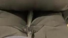 21岁大学生，下海赚快钱，D罩杯美乳，坚挺白嫩，后入特写菊花和鲍鱼，男友已经调教到位超会玩