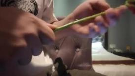 探花雷哥星級酒店開房現場直播高價約了個花臂紋身大奶妹子啪啪 跪舔雞巴騎乘擡腿正入抽插幹得直叫求饒 國語對白