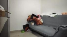 【锤子丶探花】约操极骚老相好，小姐姐喜欢被舔逼，沙发上骑乘深插，激情猛操玩的尽兴