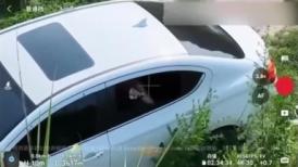 爱剪辑 小伙野外车震已婚富婆被无人机全程录像