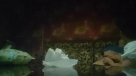 【李总探花】，KTV里约良家，少妇主动趴下口交，坚挺美乳，急不可耐暴插骚逼，精彩刺激必看