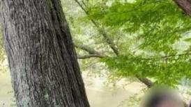秋高气爽 心旷神怡 风景如此美丽 为何不来锦上添花 只可惜哥哥太紧张射的太快 射了满满一鲍鱼