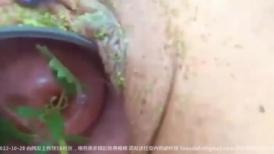 用荨麻草的根茎插子宫 牛逼 大家知道荨麻草碰到皮肤奇痒无比 严重的还会留下小包 插入子宫内一定超级酸爽