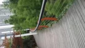 很经典的公园露出，男人老说她骚货，紧张又刺激 我也跟着他们一起紧张