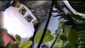 在自然气息浓郁的房间操高挑丰腴学姐真是太爽了，大长腿缠绕压上去对着逼逼大力碰撞耸动哦哦娇吟【水印】