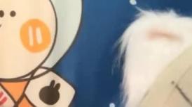 卡哇伊极品美少女！JK装开档丝袜！多毛骚逼塞跳蛋，近距离特写，拉扯揉搓