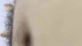 【妮子闺蜜】带漂亮闺蜜下海，密码激情操逼，丝袜足交，轮换着吃屌，特写视角操美臀