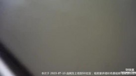 办公楼女厕全景偷拍眼镜美女的多毛小黑鲍
