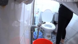 卫生间暗藏摄像头偷拍表妹上厕所,平时爱吃大豆,阴毛长的乌黑茂密有光泽