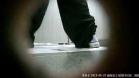 商场女厕全景后拍长发美女的极品小嫩鲍
