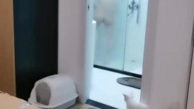 一段时间没播极品御姐！高颜值性感浓妆！无毛骚穴自摸，吸吮舔屌极度淫骚，张开双腿炮友插穴
