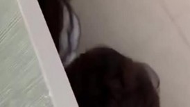 大学情侣感觉来了，直接跑进学校厕所艹逼，没想到被人偷拍，最后好像还是内射，女主颜值还不错！原版