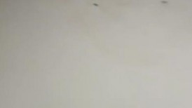 文静小姐姐！酒店开房激情大战！抓起大屌舔弄，灵活小舌头，蜜桃美臀，第一视角后入抽插