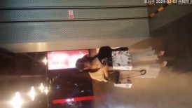 宠物店跟踪偷拍一身白色连衣裙配白高跟的气质女神 人美穴靓