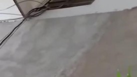 快递小哥送快递的时候成绩偷拍妹子们的裙底,有个长裙妹子内裤都没穿就急忙下来拿快递