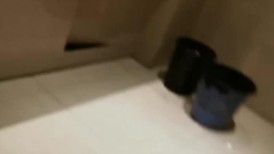 写字楼女厕全景偷拍多位美女职员嘘嘘各种美鲍轮流出现