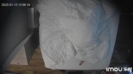 流出酒店偷拍 C罩杯的大奶妹和刚在一起的男友出来开房很害羞男友摸奶子摸下面都害羞的遮住脸