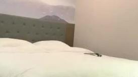酒店约炮个身材高挑的学院兼职妹裤子没脱饿狼似的把人家扑倒床上干
