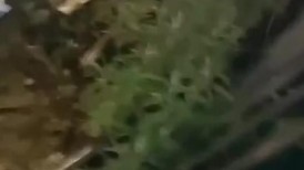 【学校接巨乳大学生去酒店开房】S型身材眼镜反差婊，外表清纯传统，床上骚贱浪