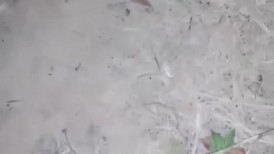 漂亮美眉车震 不够硬 啊射了 身材苗条先撒泡尿 撅着屁屁被无套输出 差点没控制住内射