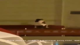 【校园炸裂大瓜】西安培华学院 “周晓澜” 与军训教官在主席台众目睽睽之下大胆做爱！
