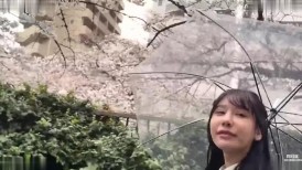 FC2 4669180 茶道部的惠美酱，18岁，白皙苗条的隐藏巨乳美女，春天里兴奋起来，进行中出性爱*先到先得，附有高质量特典* [有]