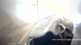 酒店女厕全景偷拍高颜值的极品高跟鞋少妇人美B嫩-1