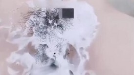 做了几天的的思想工作，姐姐终于同意把阴毛刮掉2